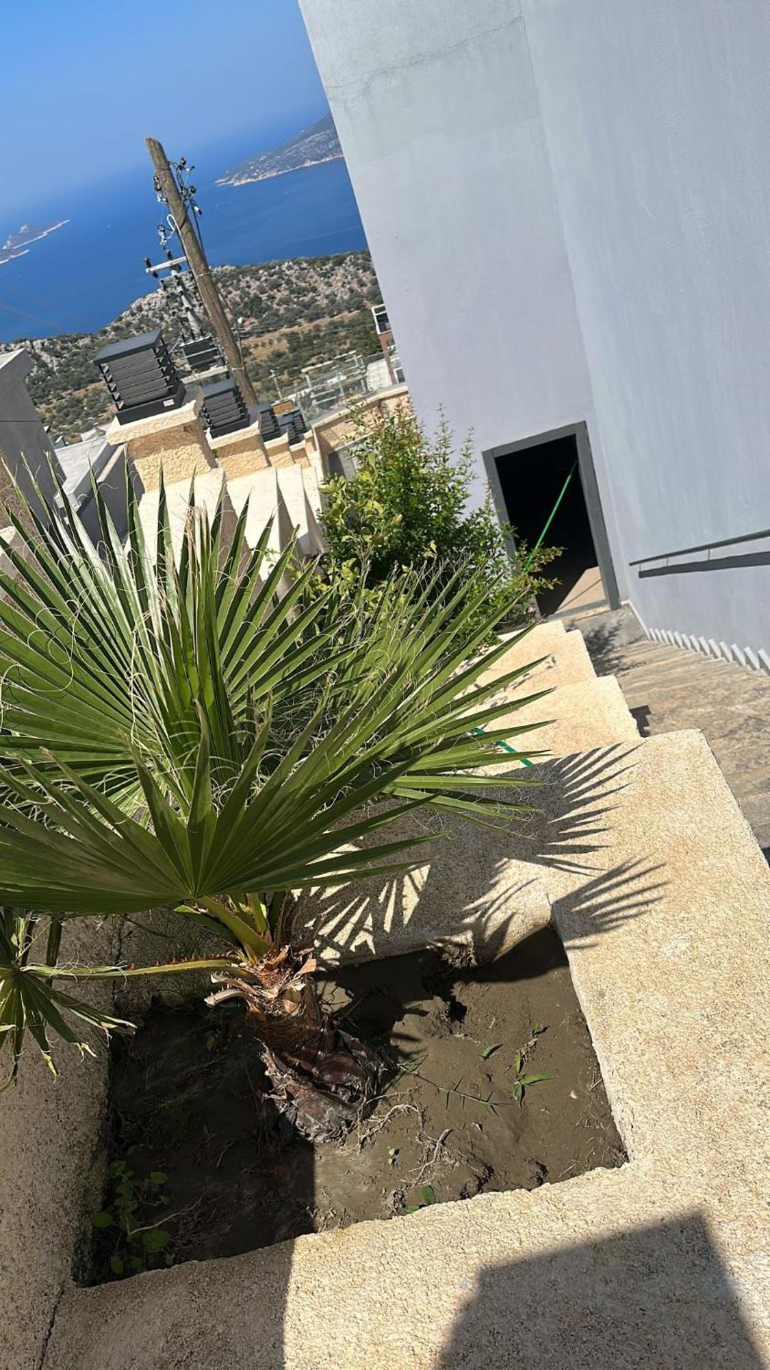 קס Kalkan Villa Beauty Honeymoon מראה חיצוני תמונה